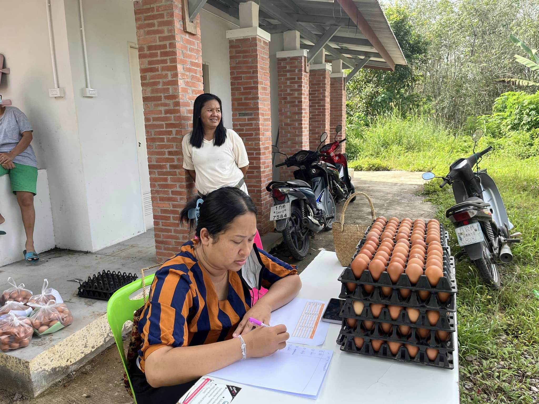 โครงการบริหารจัดการขยะมูลฝอยตำบลช้างให้ตก ประจำปี 2565 โดยการนำขยะมาแลกไข่ไก่ กับทางองค์การบริหารส่วนตำบลช้างให้ตก ครั้งที่ 3  วันที่ 24 พฤศจิกายน 2565เวลา09.00-12.00น  ณ อาคารอเนกประสงค์องค์การบริหารส่วนตำบลช้างให้ตก  #ขอขอบคุณทุกความร่วมมือ